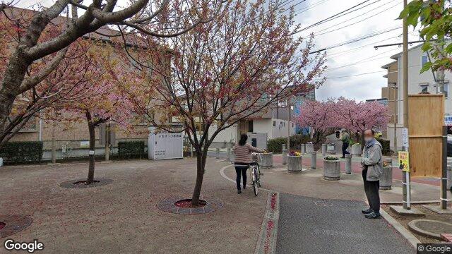 さくら百華の道