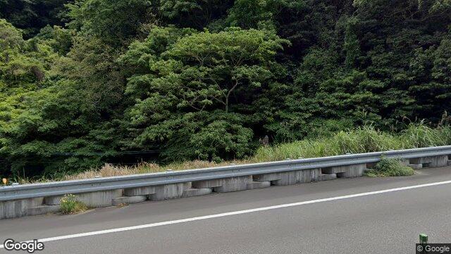 泊野道路