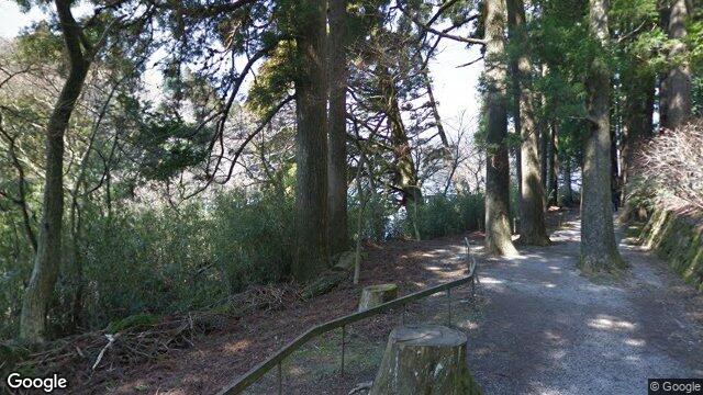 箱根旧街道杉並木