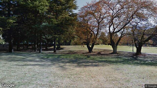 つり橋