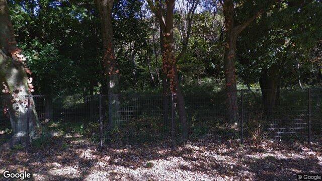 野鳥観察施設