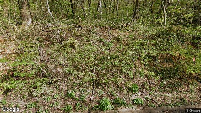 弥彦山スカイライン
