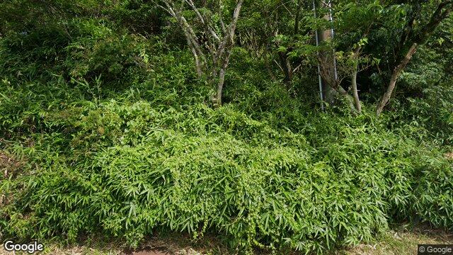 湯河原峠