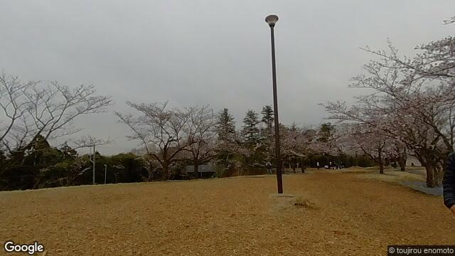 中池
