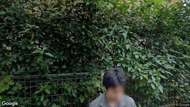 花みず木通り(砧線跡)