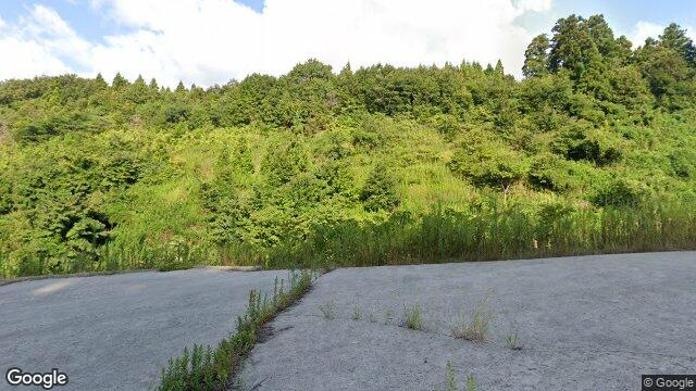 道路