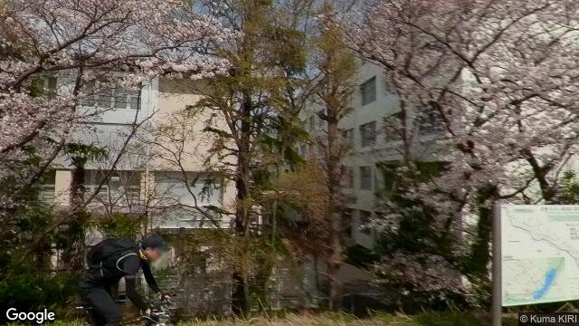 多摩川サイクリングロード